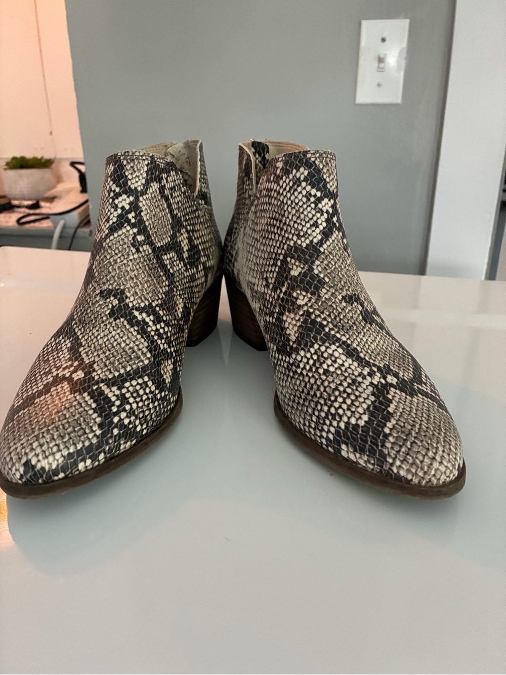 Dolce Vita 8.5 Women's Snake-Print Ankle Boots - Neutral
